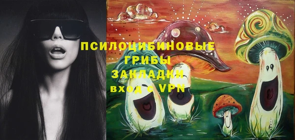 прущие крисы Арсеньев