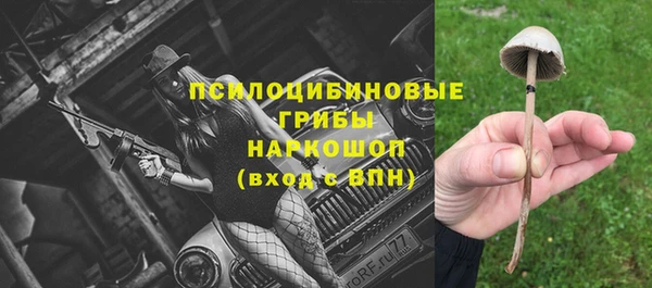 прущие крисы Арсеньев