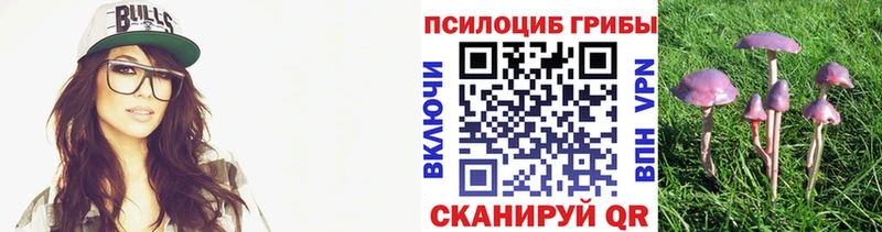 Псилоцибиновые грибы GOLDEN TEACHER  что такое   кракен ССЫЛКА  Вязьма 